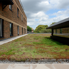 The appliance of science delivers modular green roof success