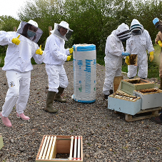Knauf Insulation is the bees’ knees for Gwent Beekeeping Centre