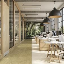 New, on-trend, wood-look options from Altro