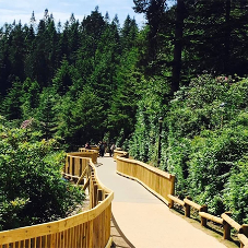 The Wiltshire Center Parcs replaces iconic wooden boardwalk