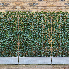 Metalcraft have developed a free-standing Ivy Pollution Screen