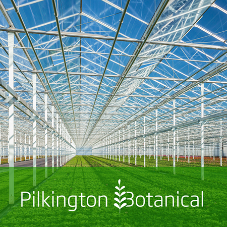 Specialist horticultural glass brings more light into greenhouses