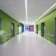 Specifying Paint in a Hospital Setting