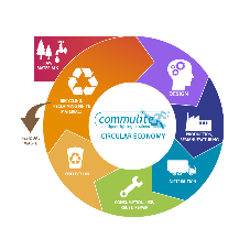 What is Circular Economy and Why is it So Important?