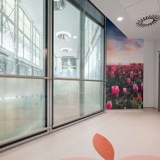 Art improves wellbeing in unique therapy centre