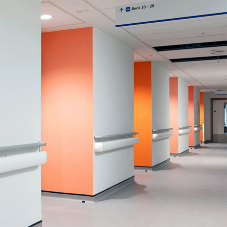 Wall Protection - Royal Sussex County Hospital