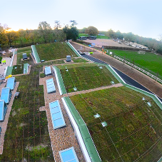 Bauder Total Green Roof System for Haberdashers’ Boys’ Pre-Prep School