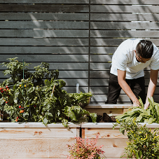 How to Get Your Garden Ready for Spring