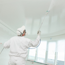 The Rise Of The Paint Sprayer
