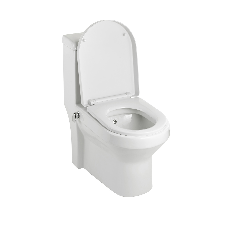 Turkish Style Toilet with Integral Bidet Spray