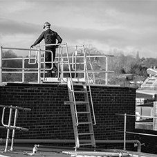 Ascent™ Companionway/Ships Ladders