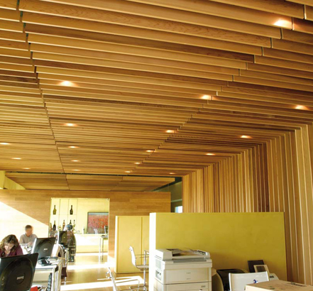 Wood ceiling range, office application
