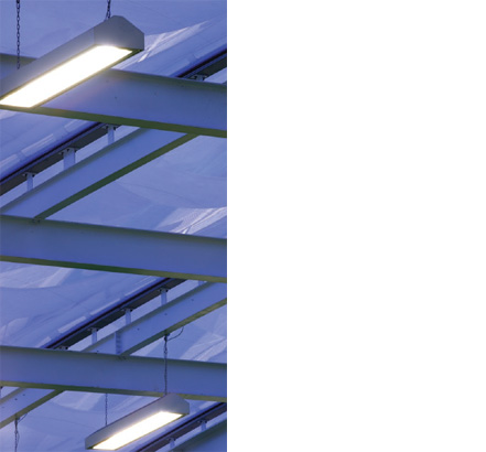Aluminium profiles with an anodized finish hold the ETFE pillows in place