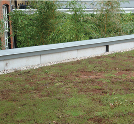 The ANS Green Roof is a modular system