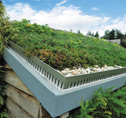 The ANS Green Roof