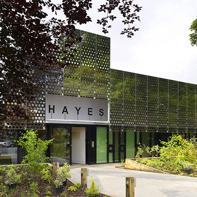 Hayes Primary School