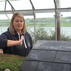 Green Roof v Tiled /Slate Roof Rainwater Test