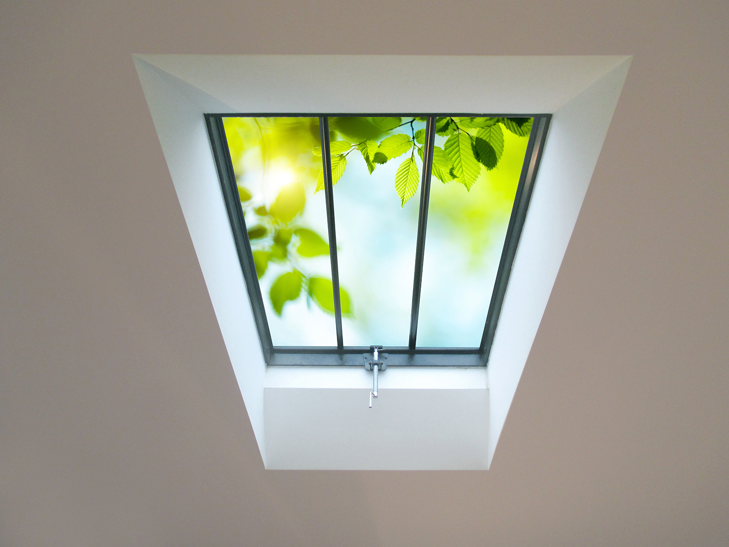 Clement Conservation Rooflights