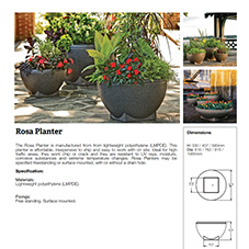 Rosa Planter