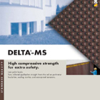 Delta MS Protection