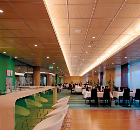 Madera Wood Ceiling, leisure spa