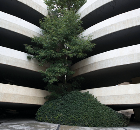 CEMEX blended cement is is more sustainable, stronger and less permeable