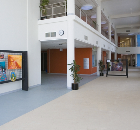 Polyflor Standard XL, American school, Tadmur