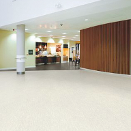 Polyflor Safety Flooring